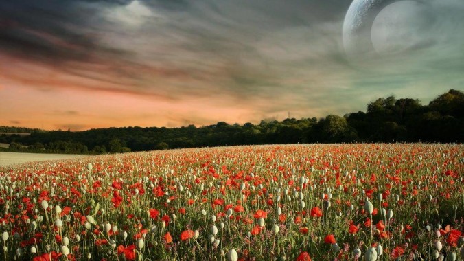 中国的歼-10 在世界上是什么水平?